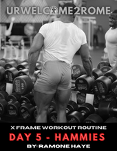Load image into Gallery viewer, X Frame Workout Routine -Day 5 - Hammies