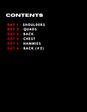 Load image into Gallery viewer, X FRAME WORKOUT 6 Days A Week