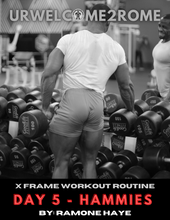 Load image into Gallery viewer, X Frame Workout Routine -Day 5 - Hammies
